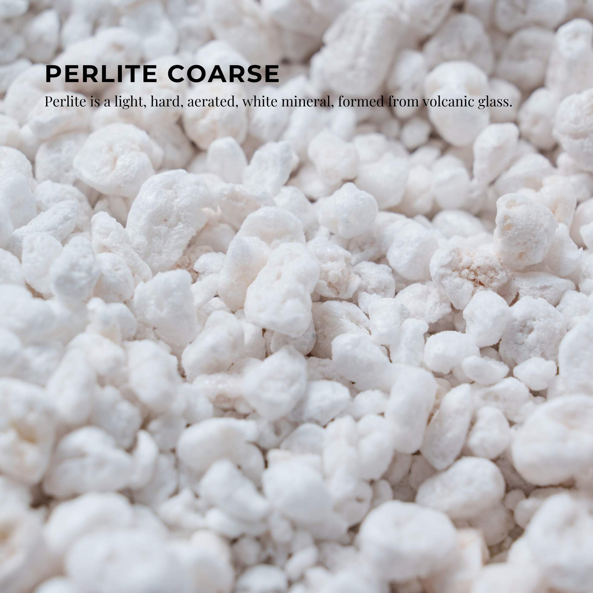 100L Perlite Coarse Premium Soil Expanded Medium Plants Hydroponics Bulk