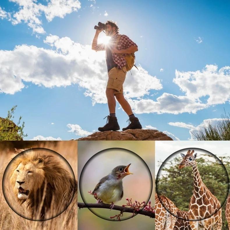 High Definition Monocular Telescope For Outdoor Bird Viewing - 16X52 Green Film - 16X52 Prism