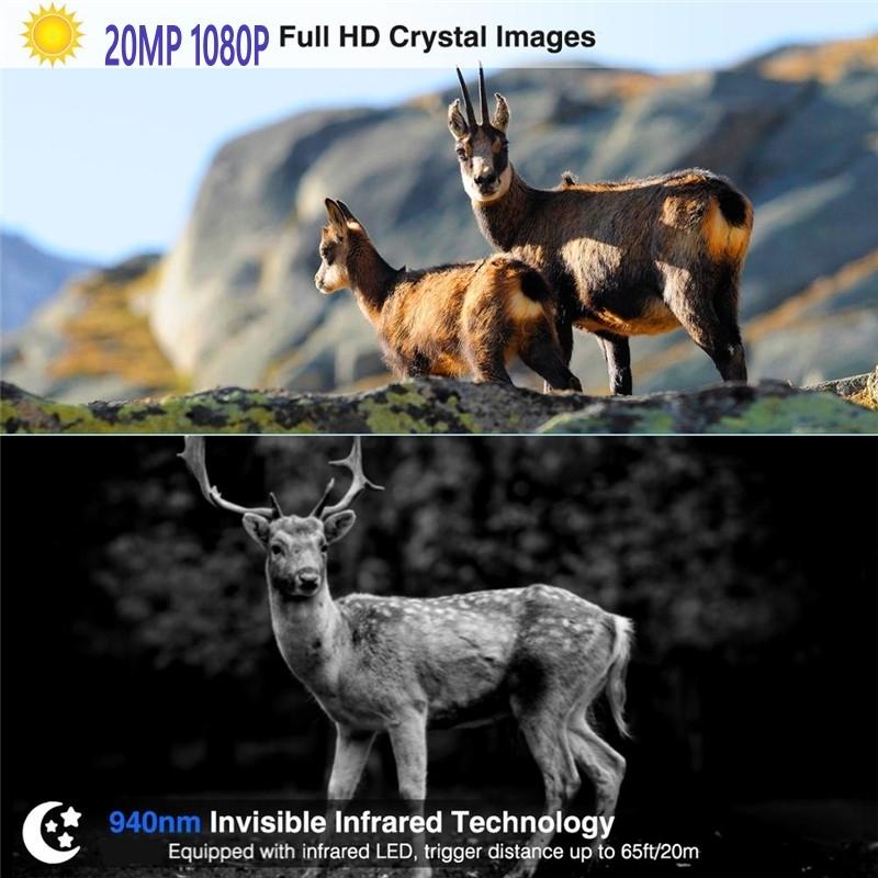 Outdoor 4G Night Vision Trail Camera With Infrared