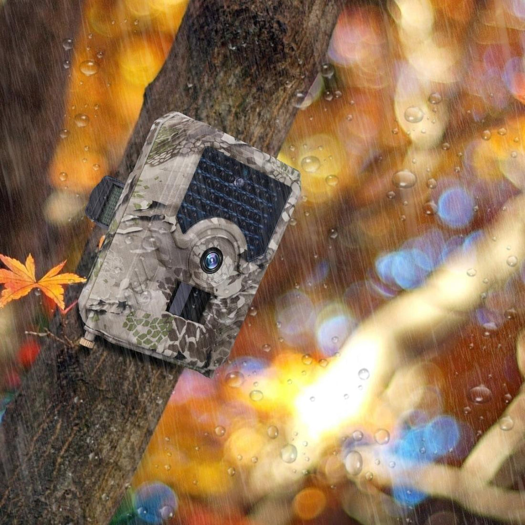 Waterproof Night Vision Trail Camera With Wide Angle And Pir Sensor