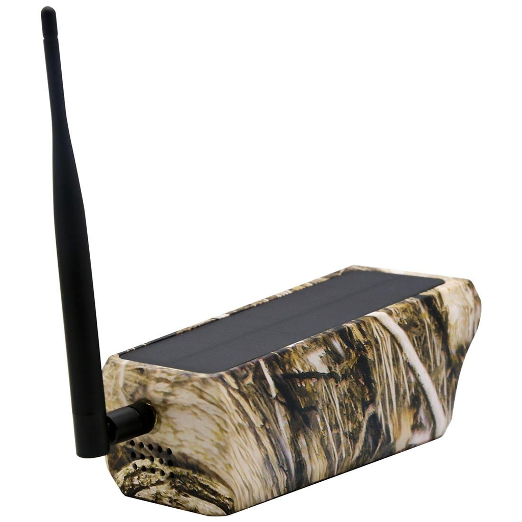 1080P Hd Solar Wifi Camera With Motion Detection & Night Vision - Maple Leaf Pattern