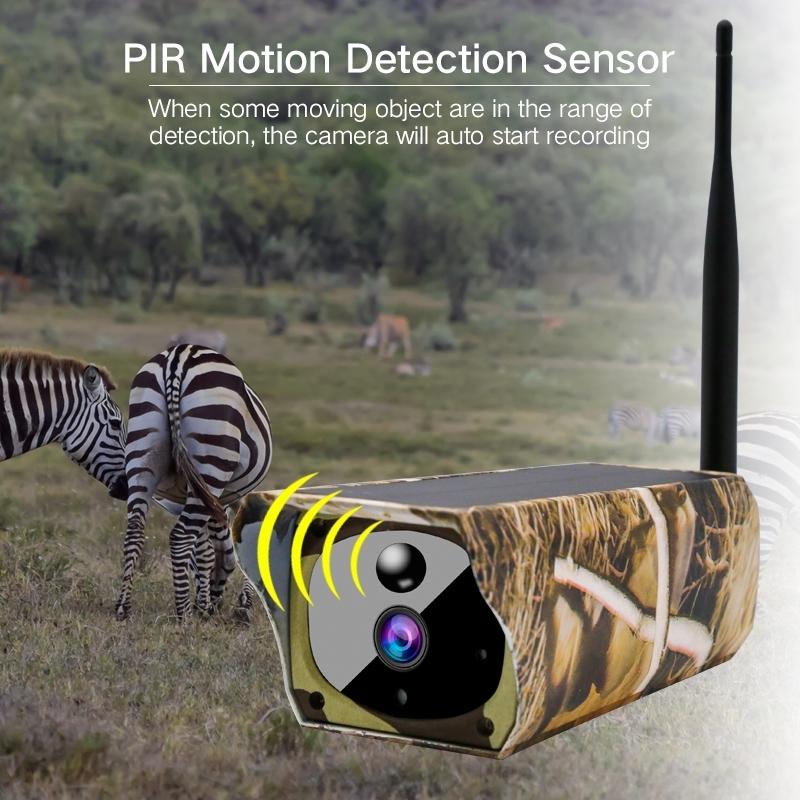 1080P Hd Solar Wifi Camera With Motion Detection & Night Vision - Maple Leaf Pattern