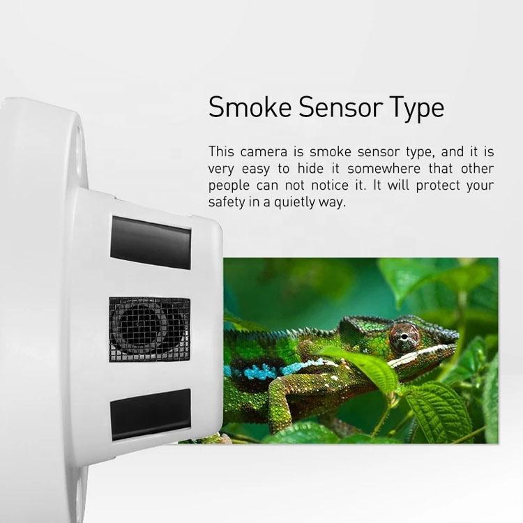 Sony Ccd Camera - High Quality And Compact - 600Tvl