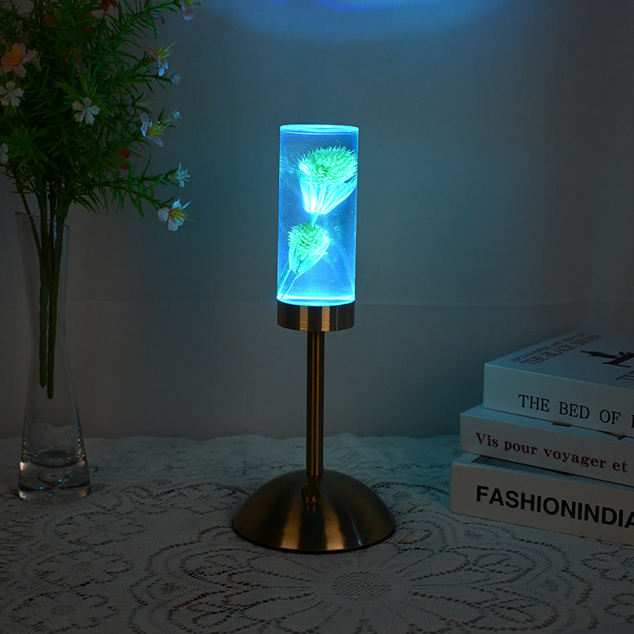 Dandelion Grass Eternal Flower Acrylic Table Lamp - Color-Changing LED, USB Rechargeable, Touch Control